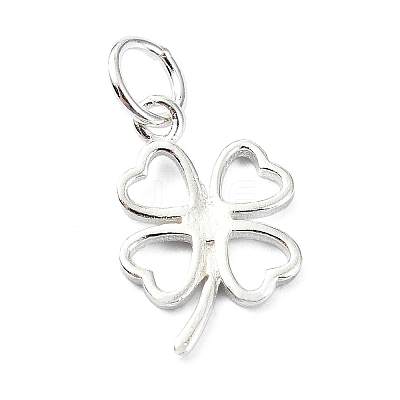 925 Sterling Silver Charms STER-M119-12S-1