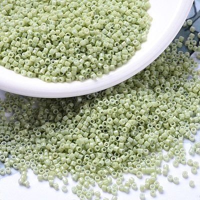 MIYUKI Delica Beads X-SEED-J020-DB2123-1