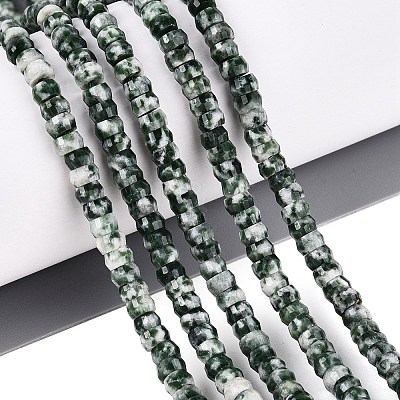 Natural Green Spot Jasper Beads Strands G-Q606-46A-07-1