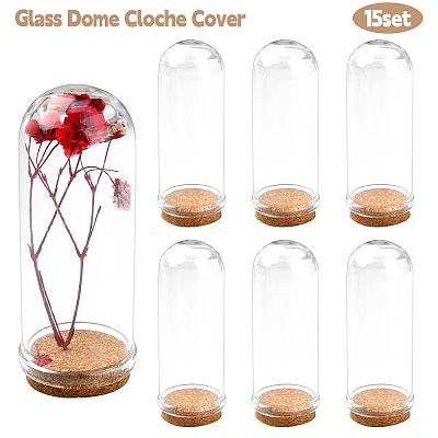 Glass Dome Cloche Cover AJEW-YW0001-10B-1