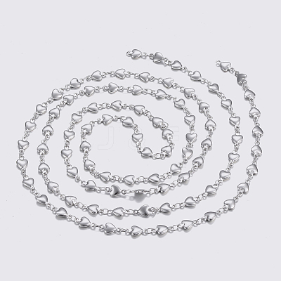 Tarnish Resistant 304 Stainless Steel Chains STAS-P197-038P-1