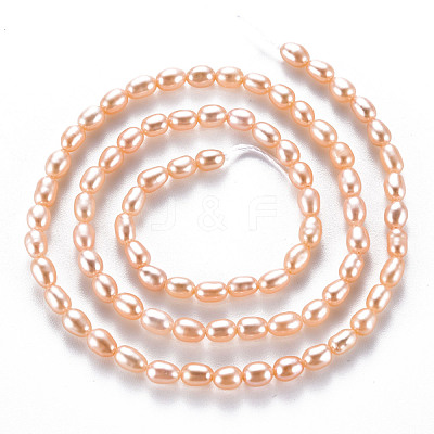 Natural Cultured Freshwater Pearl Beads Strands PEAR-N012-02C-1