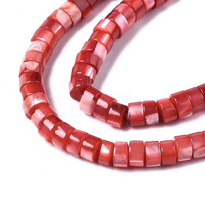 Natural Trochus Shell Beads Strands SHEL-S278-027D-1