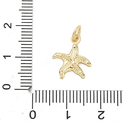 Brass Charms KK-K368-07A-G-1