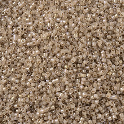 MIYUKI Delica Beads SEED-MY11-DB1731-1