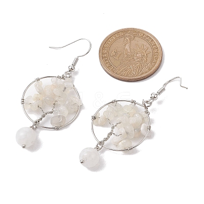 Natural Gemstone Dangle Earrings EJEW-JE05747-1