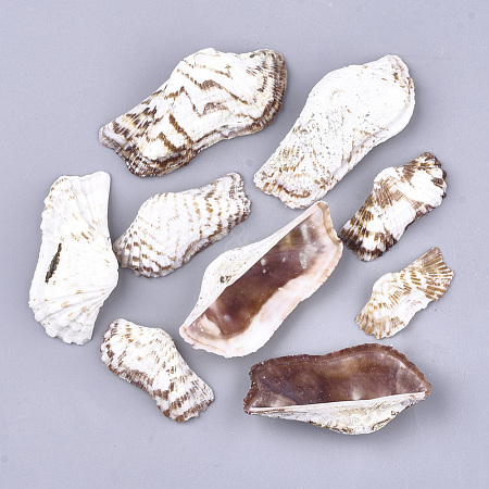 Sea Shell Beads SSHEL-S258-56-1