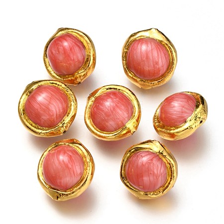 Natural Freshwater Shell Beads BSHE-Z001-01C-1