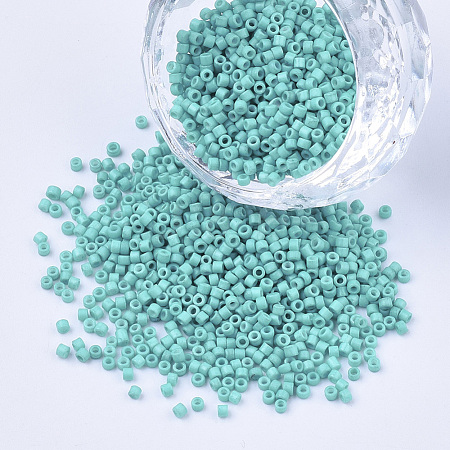 Baking Paint Cylinder Seed Beads SEED-Q036-02A-D05-1