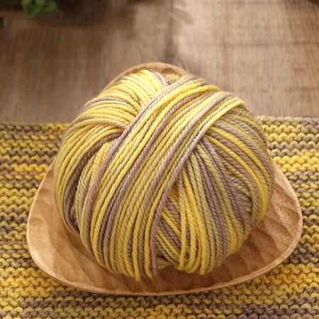 Cashmere Segment Dyed Yarn PW-WG4CBEA-09-1