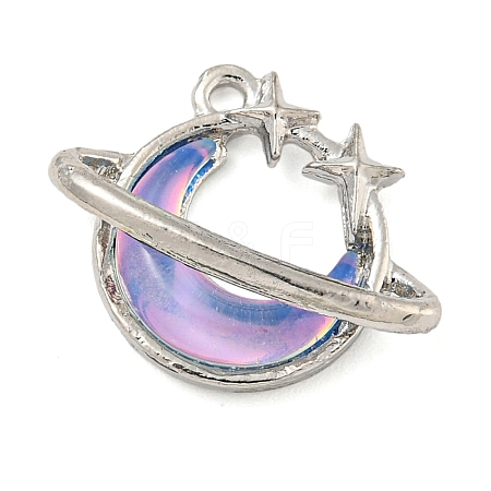 Alloy & Resin Pendants FIND-G508-02A-02-1