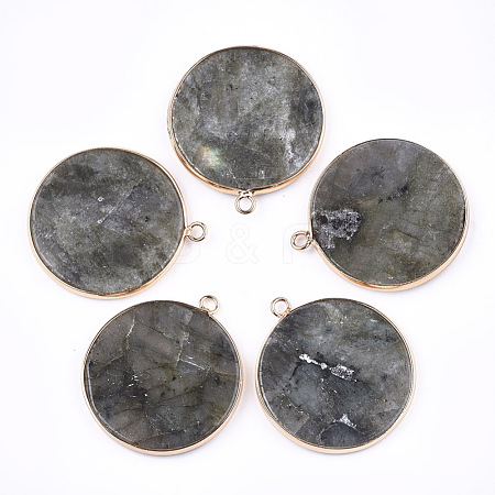 Natural Labradorite Pendants G-T112-24H-1