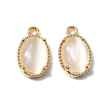 Oval Brass Charms KK-D024-01E-G-1