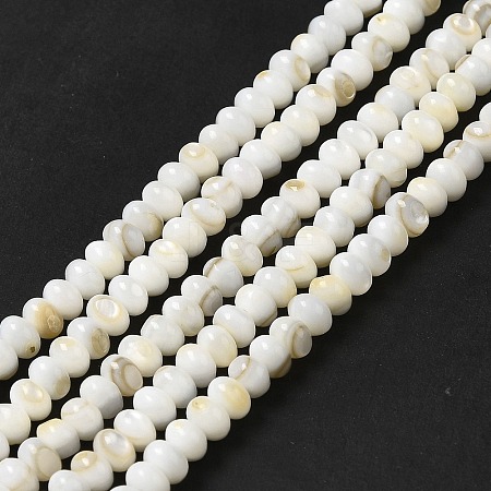 Natural Freshwater Shell Beads Strands BSHE-E026-15A-01-1