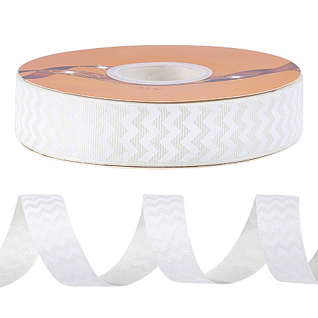 Polyester Ribbons OCOR-WH0120-41C-1