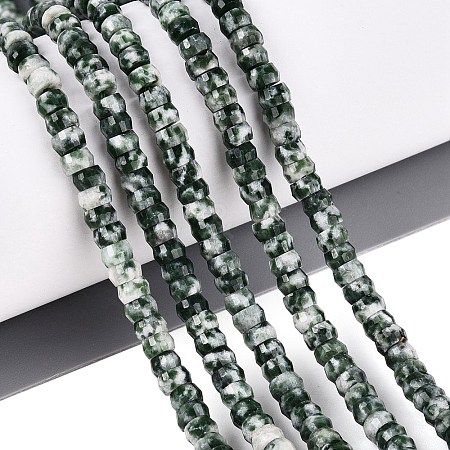 Natural Green Spot Jasper Beads Strands G-Q606-46A-07-1