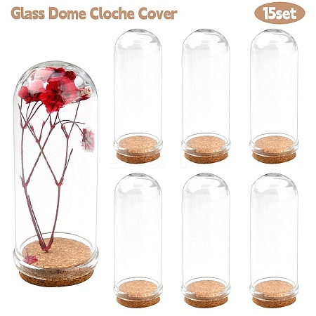 Glass Dome Cloche Cover AJEW-YW0001-10B-1