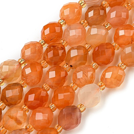 Natural Orange Botswana Agate Beads Strands G-N342-40-1