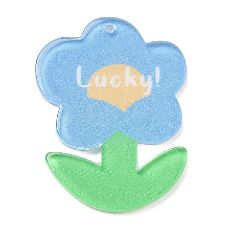 Acrylic Pendants OACR-I008-01A-02-1