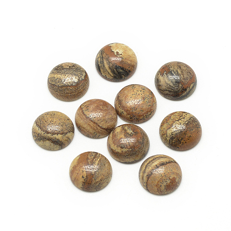 Natural Picture Jasper Cabochons X-G-R416-16mm-42-1