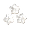 Natural White Shell Mother of Pearl Shell Pendants SSHEL-G014-60-4