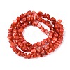 Natural Freshwater Shell Beads Strands SHEL-N037-04D-2