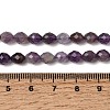 Natural Amethyst Beads Strands G-K376-F03-01-5