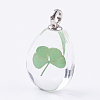 Glass Dried Flower Pendants GLAA-K018-C-1