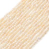Natural Cultured Freshwater Pearl Beads Strands PEAR-L034-13C-2