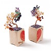 7 Chakra Natural Gemstone Chips and Ceram Pedestal Display Decorations DJEW-G027-16RG-3