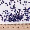 MIYUKI Round Rocailles Beads SEED-X0055-RR1020-4