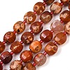 Natural Fire Crackle Agate Beads Strands G-K393-C01-10mm-2