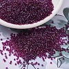 MIYUKI Delica Beads SEED-MY11-DB1747-1