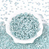 Transparent Inside Colours Glass Seed Beads SEED-T007-13M-1-1