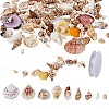 Mixed Shell Beads BSHE-TA0002-05-2