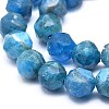 Natural Apatite Beads Strands G-F715-014-3