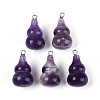 Natural Amethyst Pendants G-T144-73F-1