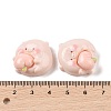 Opaque Resin Decoden Cabochons RESI-K040-01C-3