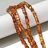 Natural Amber Beads Strands G-K387-E01-01-1