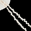  1 Strand Natural Cultured Freshwater Pearl Beads Strands PEAR-NB0002-11-1