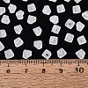 FGB Frosted Transparent Glass Seed Beads SEED-N013-03A-01-4