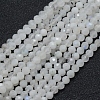 Natural Rainbow Moonstone Beads Strands LS-G-E411-08-4mm-1