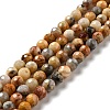 Natural Crazy Lace Agate Beads Strands G-E571-36A-1