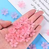 Transparent Acrylic Beads X1-MACR-S373-107-D05-6