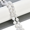 Natural Rainbow Moonstone Beads Strands G-G182-B29-03-2