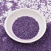 MIYUKI Delica Beads SEED-MY11-DB1754-2