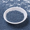 MIYUKI Round Rocailles Beads SEED-X0054-RR2038-2