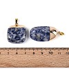 Natural Blue Spot Jasper Pendants G-N360-05G-05-01-3