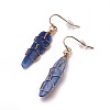 Natural Kyanite Dangle Earrings EJEW-F228-B01-2