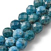 Natural Apatite Beads Strands G-G927-32-8MM-1